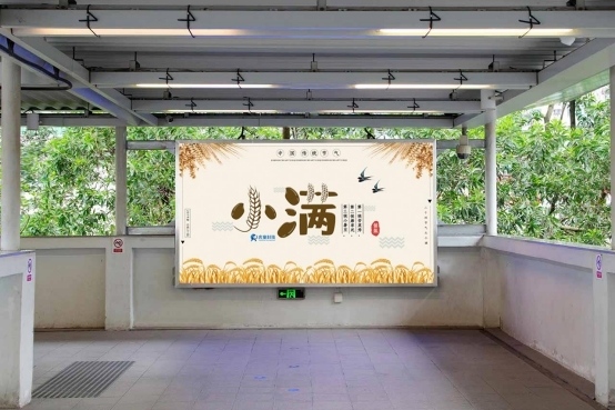 小得盈满为“小满” 籽粒渐熟五月天